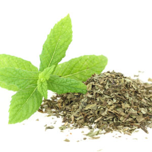 Fresh and dry mint