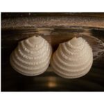The Yorkshire Pasta Company Conchiglie Rigate Speciality High Quality Pasta 500g