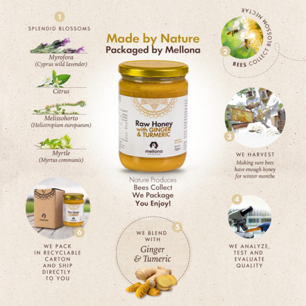Mellona Raw Honey with Ginger and Turmeric Superfood 700g