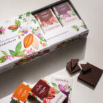 DOLFIN Belgian chocolate single origin Gift Set 24 Chocolate Mini Bars